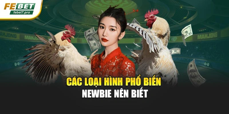 Các loại hình phổ biến newbie nên biết