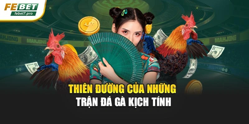 Thiên đường của những trận đá gà kịch tính